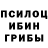 Галлюциногенные грибы мухоморы AZRubs