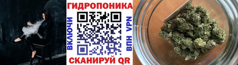 кракен ONION  Заполярный  Каннабис семена 